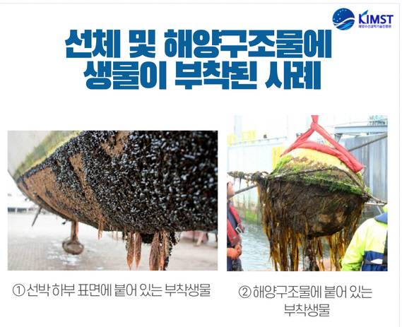 해양수산과학수산기술진흥원 제공