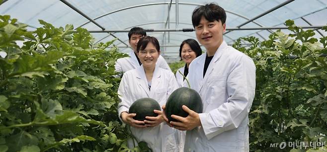 수박시험장 정주형 농업연구사(사진 오른쪽)가 시험장 시설하우스에서 연구중인 새로운 품종의 수박을 들고 환하게 웃고 있다. /사진=정혁수