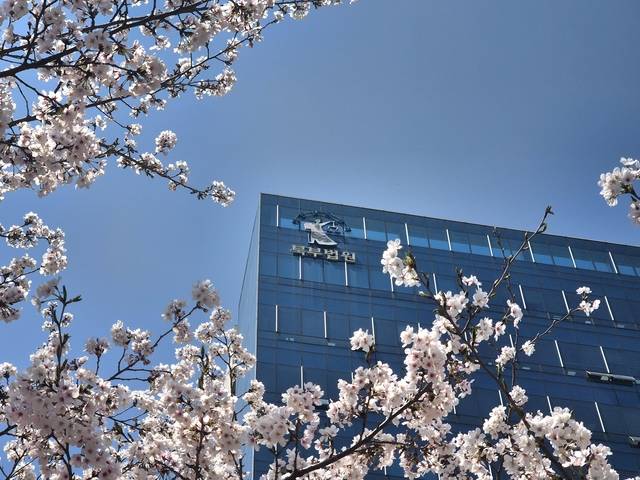 서울북부지법의 모습. 뉴시스