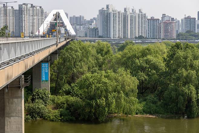 서강대교에서 본 밤섬