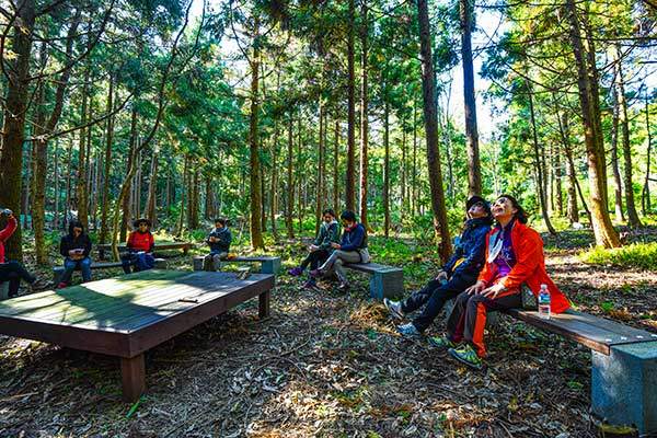 벤치와 평상이 놓인 독자봉의 '굼부리 쉼터'. 기분 좋은 침묵이 서린 곳이다.