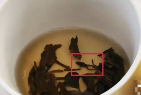 중국의 프리미엄 차 브랜드 제품에서 말라붙은 개구리 사체가 발견됐다. SNS 캡처