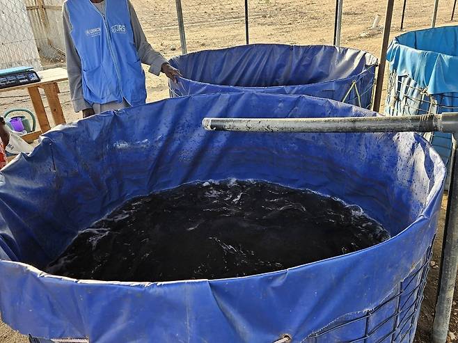 카메룬 미나와오 난민캠프 내 양어장 (마요차나가<카메룬>=연합뉴스) 노재현 기자 = 지난 11일(현지시간) 카메룬 최북단주 마요차나가 지역에 있는 미나와오 난민캠프. 2025.6.24 nojae@yna.co.kr