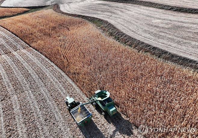 미국 네브래스카주 오마하 인근 한 옥수수 농장의 수확 모습 [AFP=연합뉴스]