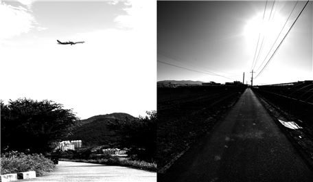 주제전 '부산의 자연환경' 중에서 백종현, 중사도, 2024. 사진나무숲 제공