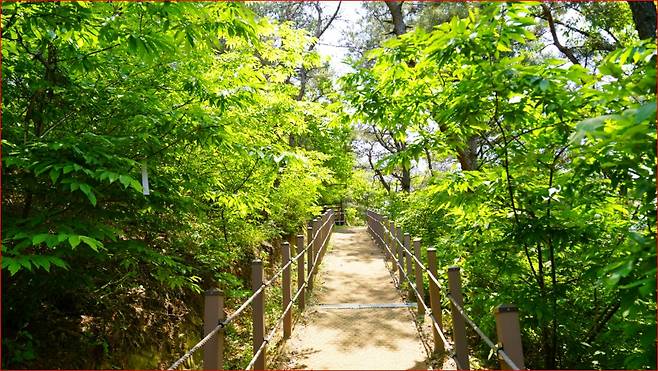 초여름 방문하면 좋은, 환상적인 풍경을 자랑하는 산책길