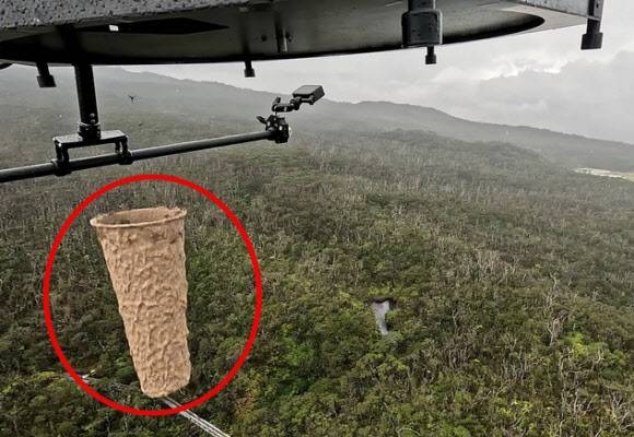 하와이에서 ‘볼바키아’ 박테리아에 감염된 수컷 모기를 살포하는 모습. (사진=미국 조류 보호 협회)