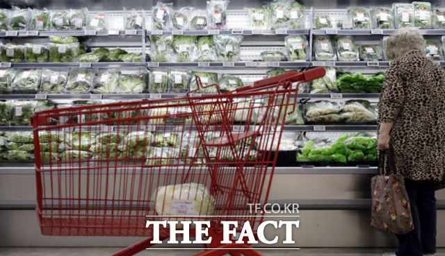 새 정부가 '민생회복 소비쿠폰' 지급을 예고한 가운데 쿠폰 사용처에 대해 유통 업태별로 촉각을 곤두세우고 있다. 사진은 지난 4일 서울 시내 한 대형마트 채소류 매대를 살펴보고 있는 소비자 모습 /뉴시스
