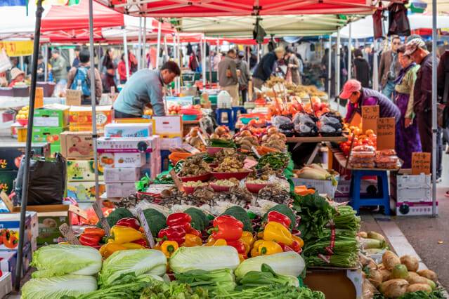 (사진=이미지투데이)