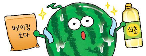 일러스트=양진경