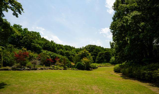 천곡황금박쥐동굴 자연학습체험공원 잔디원.