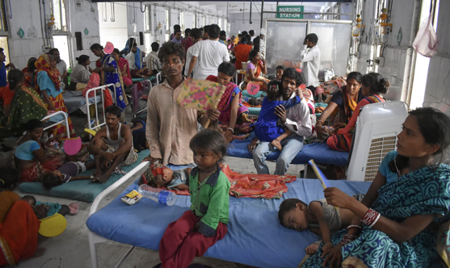 2019년 6월, 인도 비하르 주 동부 무자파르푸르 한 병원의 급성뇌염증후군(AES) 환자 어린이들. AFP 연합뉴스