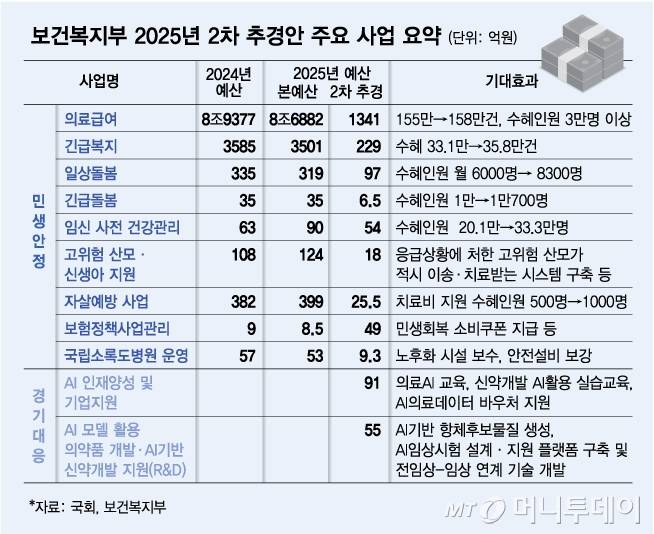 보건복지부 2025년 2차 추경안 주요 사업 요약/그래픽=김다나