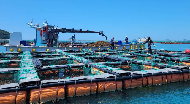 전남 완도군 보길도의 한 전복 양식장. 사진 제공=전라남