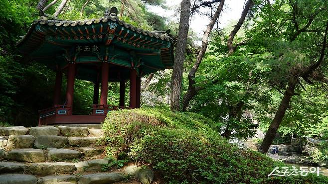 수옥폭포를 바라보는 언덕에 있는 팔각정자. 원래는 1711년(숙종 37년)  지은 수옥정(漱玉亭)이 이곳에 있었으나 정자가 오래되어 쇠락한 후 1960년 군의 지원을 받은 지역 주민들이 팔각정을 건립했다         괴산｜김재범 기자 oldfield@donga.com