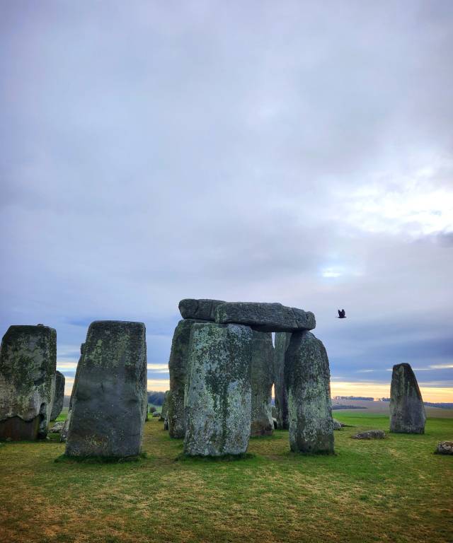 스톤헨지의 비밀을 엿보다 푸드득 날아가버리는 까마귀 한마리. 하태길 영남대 겸임교수