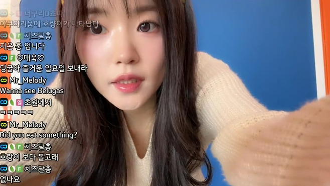 국내 및 글로벌 유저들과 소통하는 스트리머 홍딩굴.(제공=숲).