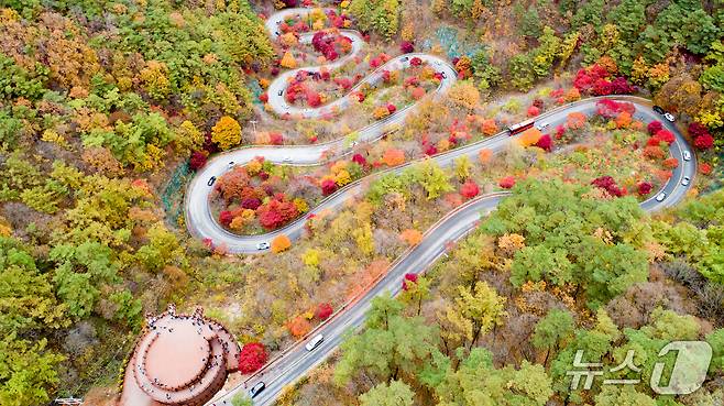 충북 단양 보발재 단풍.(단양군 제공. 재판매 및 DB금지)/뉴스1