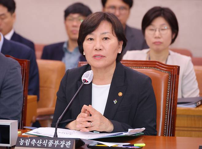 이재명 정부에서 유임된 송미령 농림축산식품부 장관이 26일 국회에서 열린 농림축산식품해양수산위원회 전체회의에서 의원 질의에 답변하고 있다.(사진=연합뉴스)