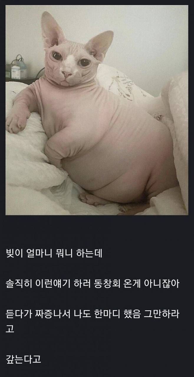 1.jpg 10년만에 동창회 갔는데 다들 돈 얘기 뿐이네....jpg 10년만에 동창회 갔는데 다들 돈 얘기 뿐이네....jpg