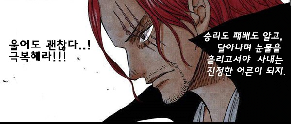 image.png 원피스) 심심할 때 보기 좋은 명장면 & 명대사 모음집