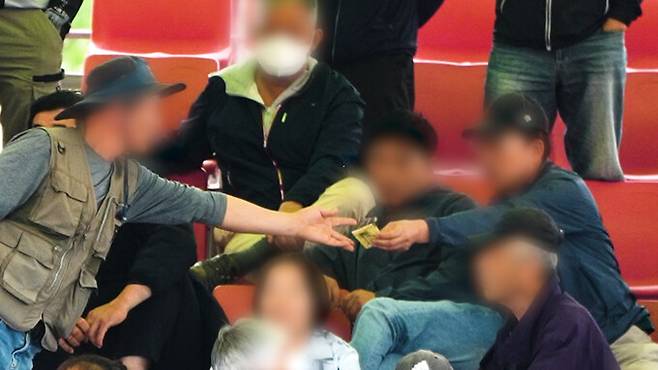 청도소싸움경기장을 비롯한 조사 지역 4곳(의령·창녕·창원·대구)의 경기장에서는 개인 간 현금을 거래 하는 장면이 포착되는 등 불법 도박 정황이 포착됐다. 동물해방물결 제공