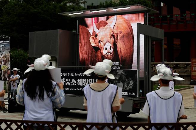 동물해방물결과 ‘동물을 위한 마지막 희망’은 2025년 6월26일 오전 서울 종로구 보신각 앞에서 소싸움 폐지를 촉구하는 시민행동을 열었다. 참석자들이 현장조사 영상을 보고 있다.