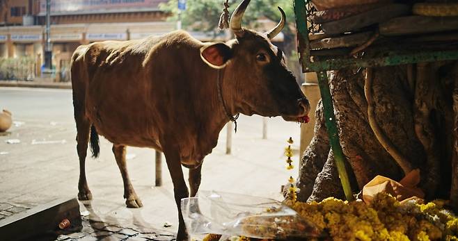사진은 기사와 관련 없음. 사진=게티이미지뱅크