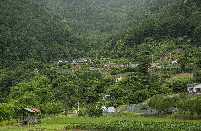 다양한 체험을 할 수 있는 냇강마을 전경.