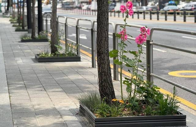 한뼘정원이 조성돼 있다.서대문구청 제공