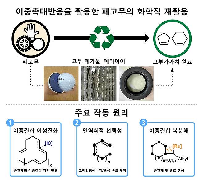 폐고무의 화학적 재활용 촉매 방법 개발 모식도.[KAIST 제공]