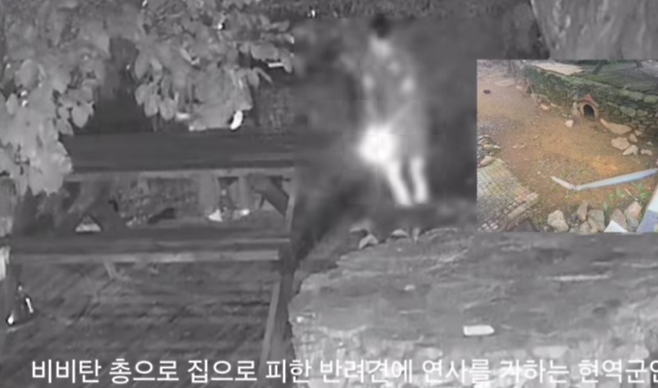 해병대예비역연대는 휴가 나온 해병이 비비탄을 난사해 반려견이 죽고 다친 사건과 관련해 26일 입장문을 발표하고 해당 병사의 해병대 퇴출과 간부 징계를 촉구했다. 자료사진. [한국동물구조복지협회]