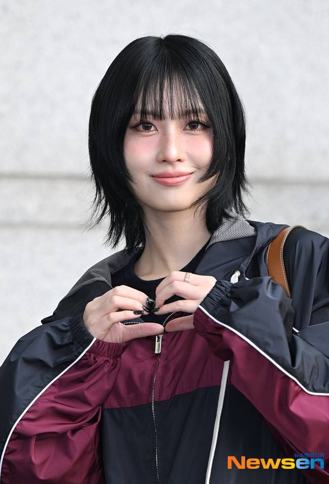 모모, 뉴스엔DB