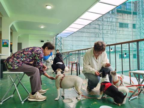 반려인들은 반려견을 통해 위로와 치유를 받고 있다고 말한다.