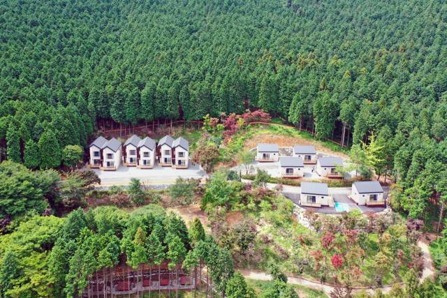 사천 케이블카 자연휴양림 모습. 조사 결과 인체에 유익한 피톤치드는 많고 유해 물질은 적은 것으로 나타났다. 사천시 제공