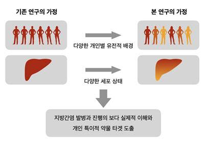 개인별 다양한 유전적 배경과 간 조직 내 다양한 세포 상태를 분석하는 연구 설계.