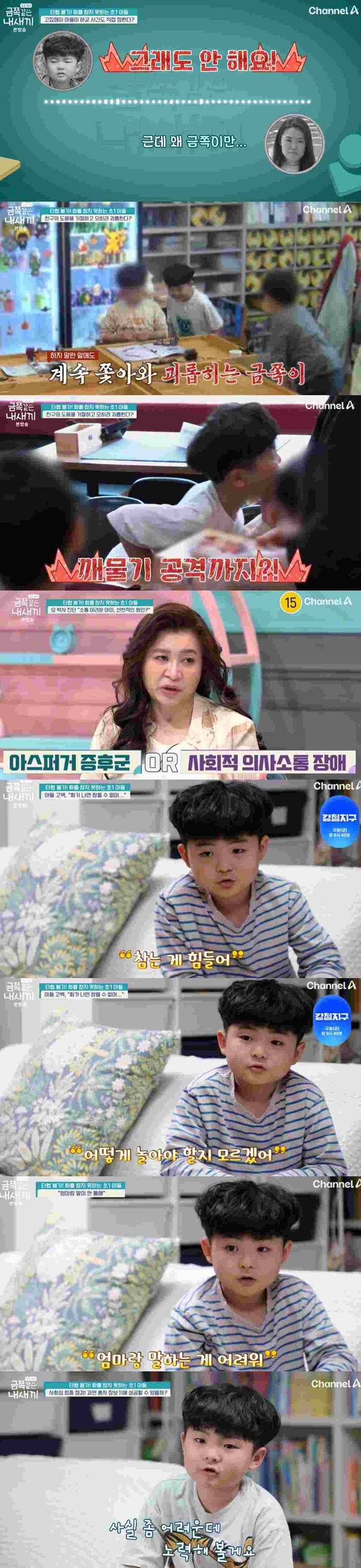 ⓒ채널A '금쪽같은 내 새끼'