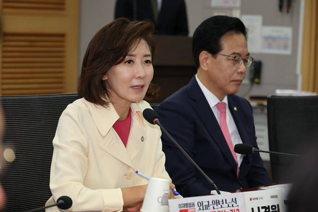 나경원 국민의힘 의원은 26일 국회에서 '이재명 정권 외교·안보 노선, 어디로 가는가?' 세미나를 열었다. 이 자리에선 이재명 정부의 실용외교가 미국을 자극할 수 있다는 지적이 나왔다. /나경원 의원 페이스북 갈무리