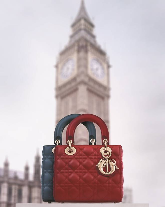 전 세계 아이코닉한 장소와 함께 한 레이디 디올 백. @BRIGITTE NIEDERMAIR /디올 제공