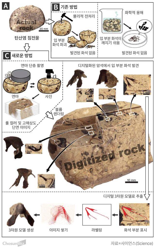 그래픽=손민균