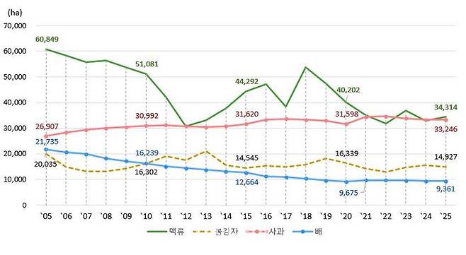 2005~2025년 맥류, 봄감자, 사과, 배 재배면적 추이.ⓒ통계청
