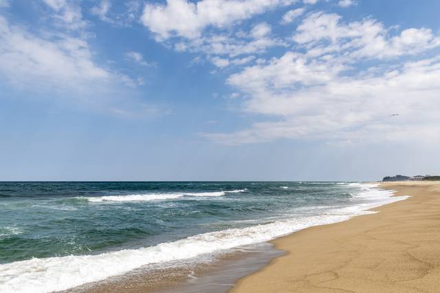 강원 양양 바닷가 전경. 이미지투데이