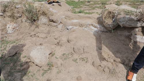 카메룬 앙두밀 마을의 파손된 제방 전석우 기자 jujitsusw@yna.co.kr