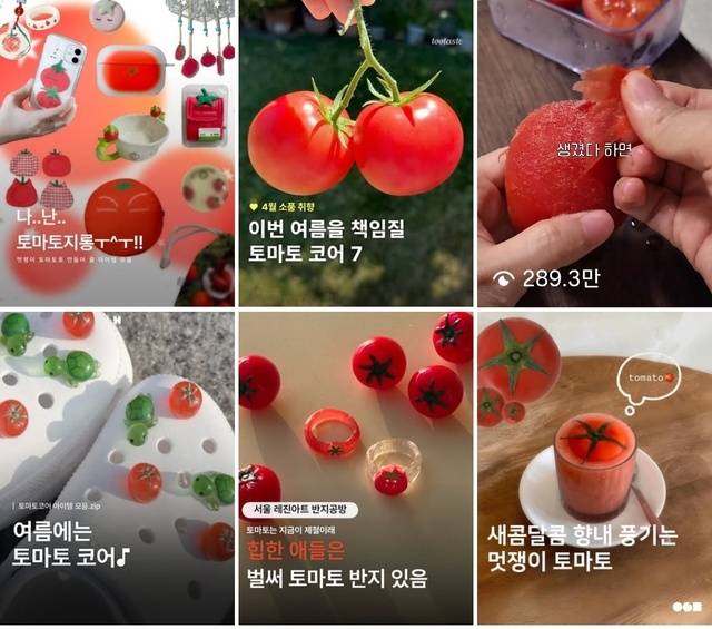 인스타그램에 '토마토'를 검색하면 토마토 반지, 토마토 레시피 등 관련된 소품·콘텐츠가 나온다. 인스타그램 캡처