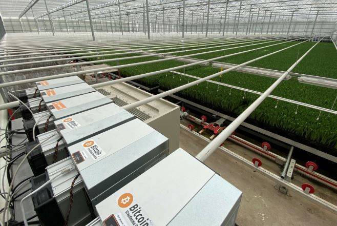 유럽의 한 농장의 태양광 패널에서 만든 전기로 비트코인을 채굴하는 모습. 미 케이스리저브웨스턴대학교 홈페이지 캡처