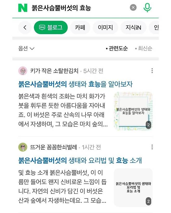 2.webp.ren.jpg 요즘 블로그 글을 무작정 믿으면 안되는 이유