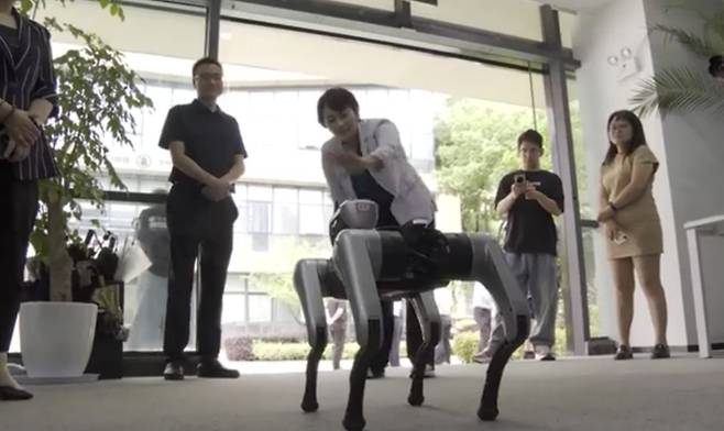 모파웬즈(매직랩) 강아지 로봇 (촬영: 안용습 기자)