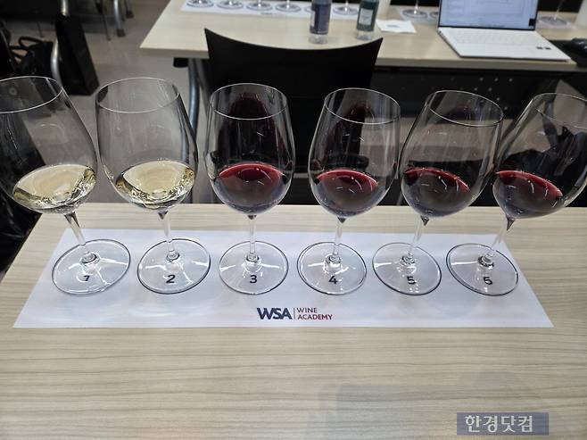 코노수르 와인 6종. 왼쪽부터 비시클레타 샤르도네 2024, 20배럴 샤르도네 2023, 20배럴 피노누아 2021, 비시클레타 카베르네 소비뇽 2022, 20배럴 카베르네 쇼비뇽, 오씨오 2020이다./사진=박수림 기자