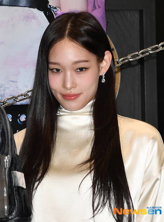 올데이 프로젝트 애니 /사진=뉴스엔DB