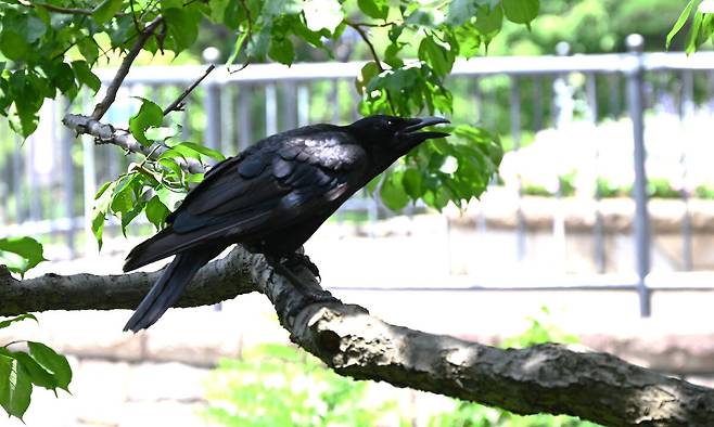 사진=게티이미지뱅크